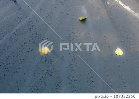 北の国アトリエ麓郷の秋のはじまり　2023 107352250