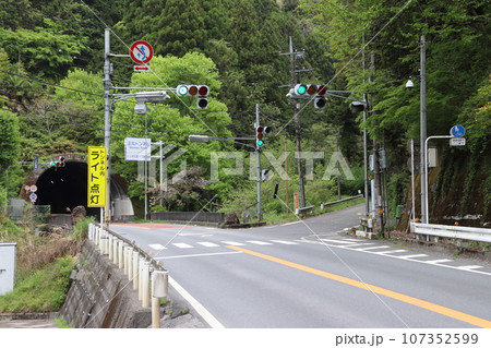国道299号線：正丸トンネル（飯能側） 107352599