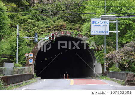 国道299号線：正丸トンネル（飯能側） 107352601
