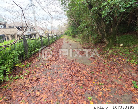 半田市南二ツ坂町 街の風景 半田市南二ツ坂町 街の風景 107353295