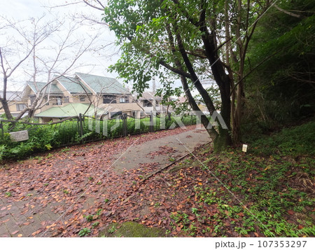 半田市南二ツ坂町 街の風景 半田市南二ツ坂町 街の風景 107353297