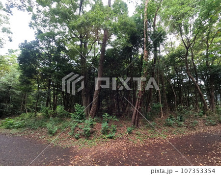 半田市南二ツ坂町　風景 107353354