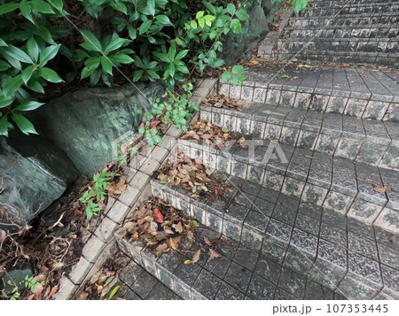 半田市南二ツ坂町 風景 半田市南二ツ坂町 風景 107353445