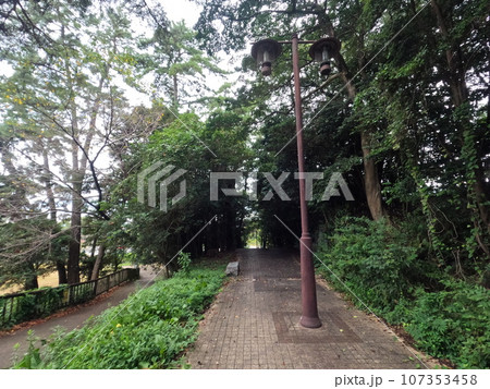 半田市南二ツ坂町 風景 半田市南二ツ坂町 風景 107353458