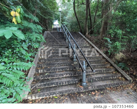 半田市南二ツ坂町　風景 107353460