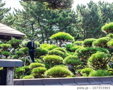 夏に訪れた美しい酒田市の山居倉庫 歴史的建物 夏に訪れた美しい酒田市の山居倉庫 歴史的建物 107353965