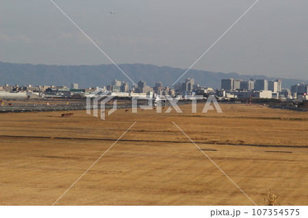 伊丹空港 離陸と着陸 同時撮影 伊丹空港 離陸と着陸 同時撮影 107354575