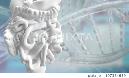 The viscera for health and medical concept 3d rendering The viscera for health and medical concept 3d rendering 107354659