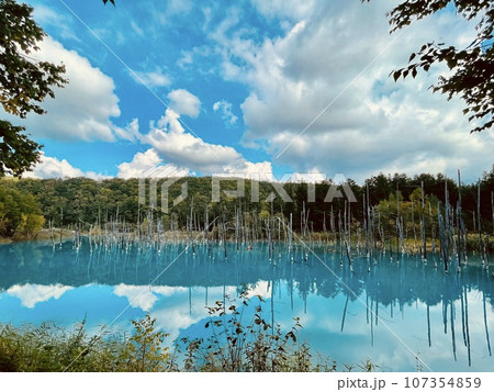 北海道美瑛町 北海道美瑛町 107354859