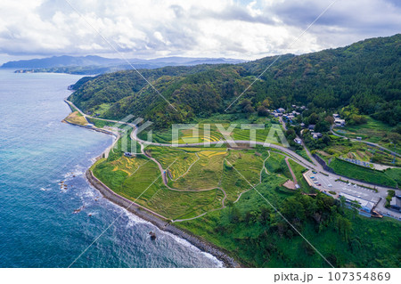 ドローン撮影|山の斜面に小さな田んぼが並ぶ世界遺産の白米千枚田の空撮|石川県輪島市 ドローン撮影|山の斜面に小さな田んぼが並ぶ世界遺産の白米千枚田の空撮|石川県輪島市 107354869