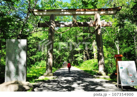 長野市 戸隠神社の奥社大鳥居と参道と参拝者 長野市 戸隠神社の奥社大鳥居と参道と参拝者 107354900