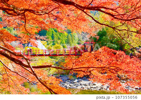 風情ある紅葉の香嵐橋 107355056