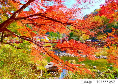風情ある紅葉の香嵐橋 107355057