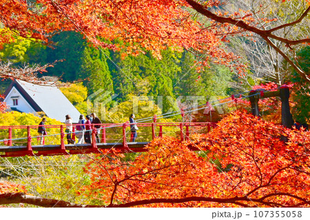 風情ある紅葉の香嵐橋 風情ある紅葉の香嵐橋 107355058