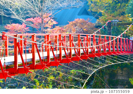 風情ある紅葉の香嵐橋 風情ある紅葉の香嵐橋 107355059