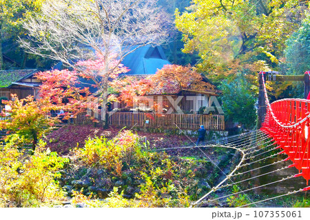 風情ある紅葉の香嵐橋 風情ある紅葉の香嵐橋 107355061