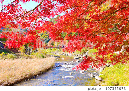 風情ある紅葉の香嵐橋 107355078