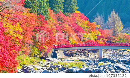 きれいな香嵐渓の紅葉と待月橋 きれいな香嵐渓の紅葉と待月橋 107355122