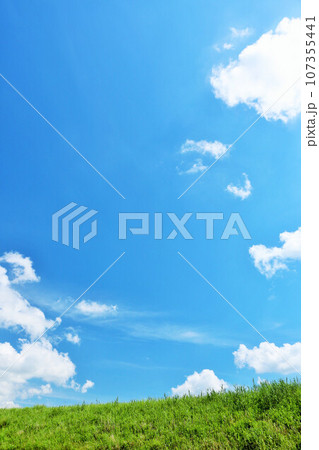 夏の青空と新緑の草原風景 夏の青空と新緑の草原風景 107355441