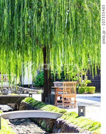 街角の素敵な空間　夏の山形市の水の町屋七日町御殿堰エリア 107355485