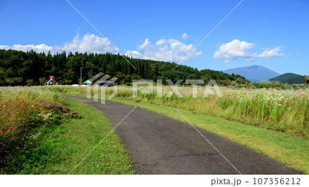 御所湖広域公園 町場地区園地の花畑 岩手県 御所湖広域公園 町場地区園地の花畑 岩手県 107356212