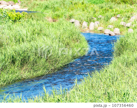 自然豊かな水辺の景色　夏の秋川 107356460