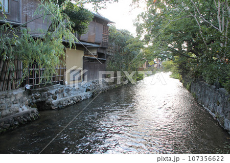 京都のまちなみ　祇園白川　巽橋界隈　巽橋から白川東側の流水落花を望む　夕景 107356622