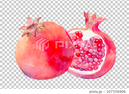 フレッシュなざくろジュース　水彩イラスト 107356906