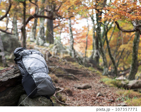 ULバックパックと秋の風景 107357771