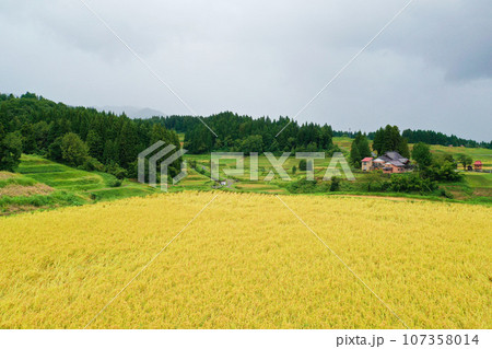 新潟県　田んぼ 107358014