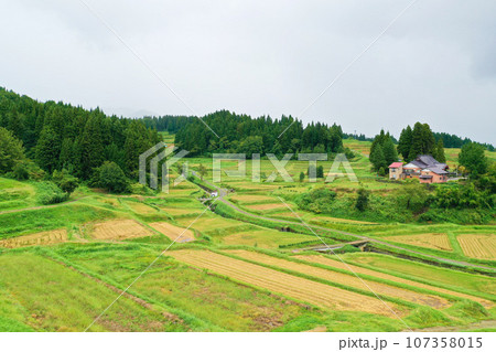 新潟県　田んぼ 107358015