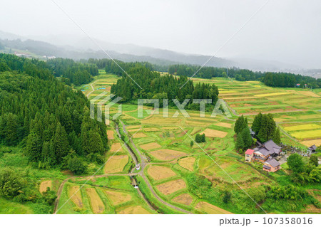 新潟県　田んぼ 107358016