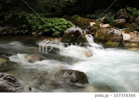 Crni Drim River in Macedonia Crni Drim River in Macedonia 107358366