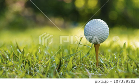 Golf ball is on tee at green lawn in a beautiful golf course with morning sunshine. 107359582