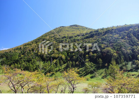 山王帽子山 107359771