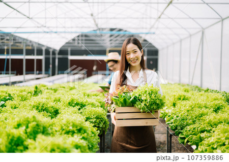 Asian female farmer wearing  is caring for organic vegetables inside the nursery.Young entrepreneurs with an interest in agriculture. Building a agricultural career 107359886