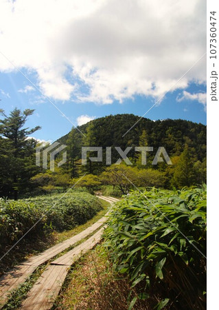 山王峠 山王峠 107360474