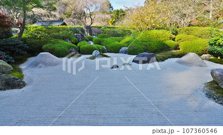 秋12月 北鎌倉明月院本堂前の枯山水 107360546
