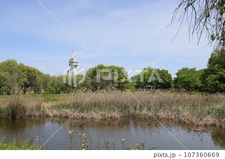 やすらぎ池越しに邑楽町役場と邑楽町シンボルタワー未来の見える風景 107360669