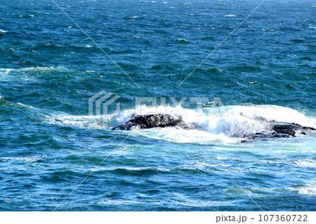 江の島　湘南大堤防　岩場に打ち付ける白波の風景 107360722