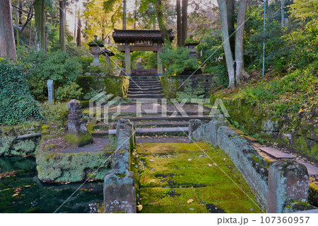 秋12月 北鎌倉浄智寺の苔蒸した石段と風情ある惣門 107360957