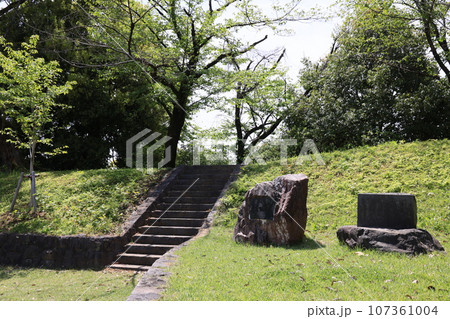 群馬県邑楽郡大泉町の小泉城址の風景 群馬県邑楽郡大泉町の小泉城址の風景 107361004