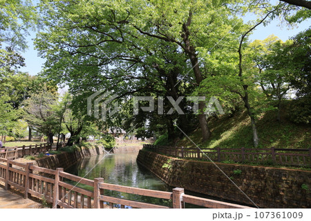 群馬県邑楽郡大泉町の小泉城址の風景 群馬県邑楽郡大泉町の小泉城址の風景 107361009