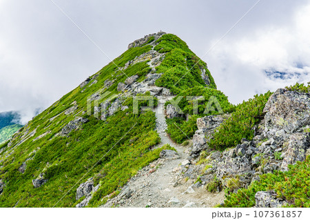 長野県の日本百名山塩見岳登山　塩見岳の西峰 107361857