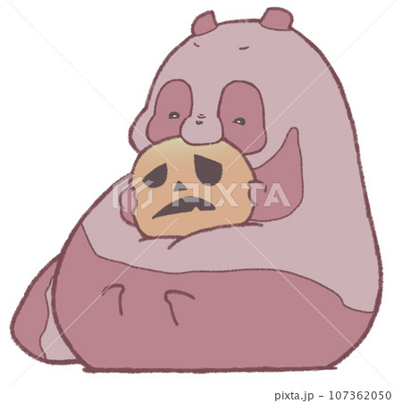 座ってカボチャを噛むたぬき(赤色) 座ってカボチャを噛むたぬき(赤色) 107362050