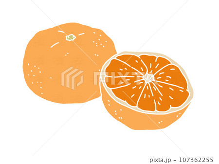 半分に切られたみかんのイラスト（版画風）のイラスト素材 [107362255