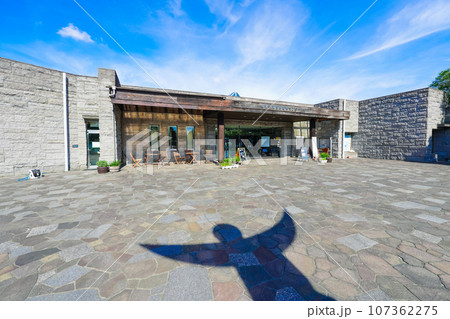 晴れ渡った谷津干潟公園（千葉県習志野市） 107362275