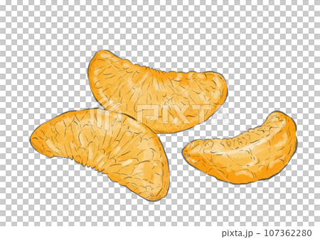 Illustration of a peeled mandarin orange (watercolor style) Illustration of a peeled mandarin orange (watercolor style) 107362280
