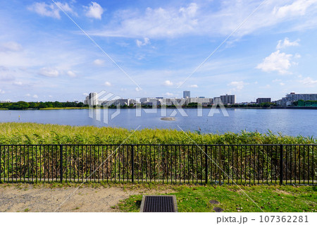 晴れ渡った谷津干潟公園（千葉県習志野市） 107362281