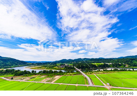 川口牛ケ島 の 信濃川 ( 千曲川 ) と 牛ケ島大橋 と 田園風景 【 新潟県 の 風景 】 107364246